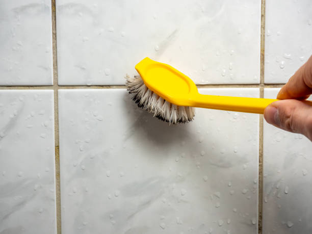 Best Mold Testing and Inspection Services in Brilliant, OH